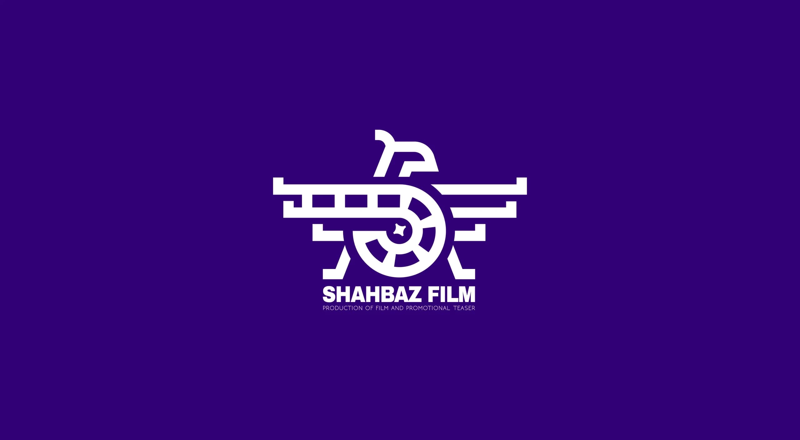 طراحی لوگو برای برند شهباز فیلم | SHAHBAZ FILM — لوگو روی رنگ سازمانی