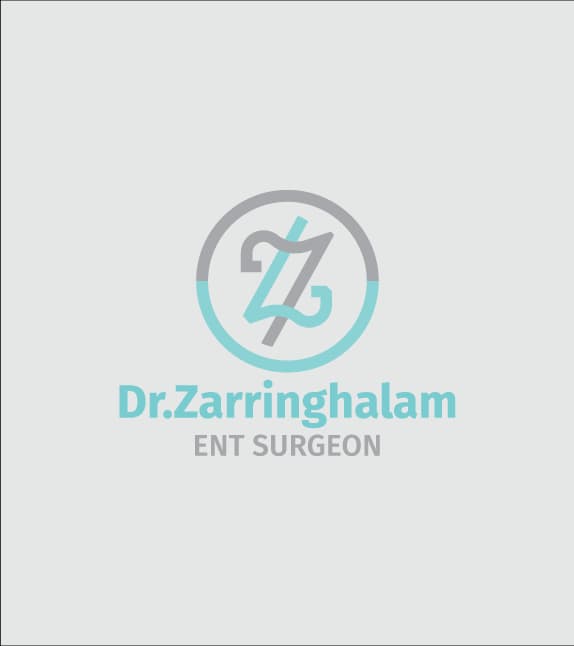 طراحی هویت بصری برند زرین قلم — کاربرد